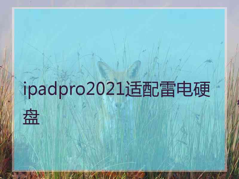 ipadpro2021适配雷电硬盘