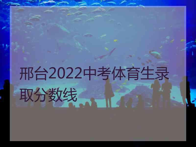 邢台2022中考体育生录取分数线