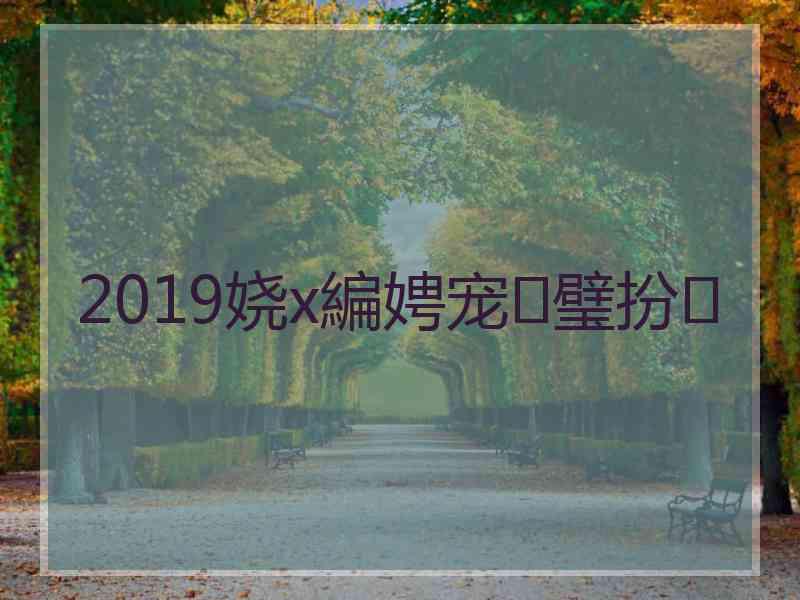 2019娆х編娉宠璧扮