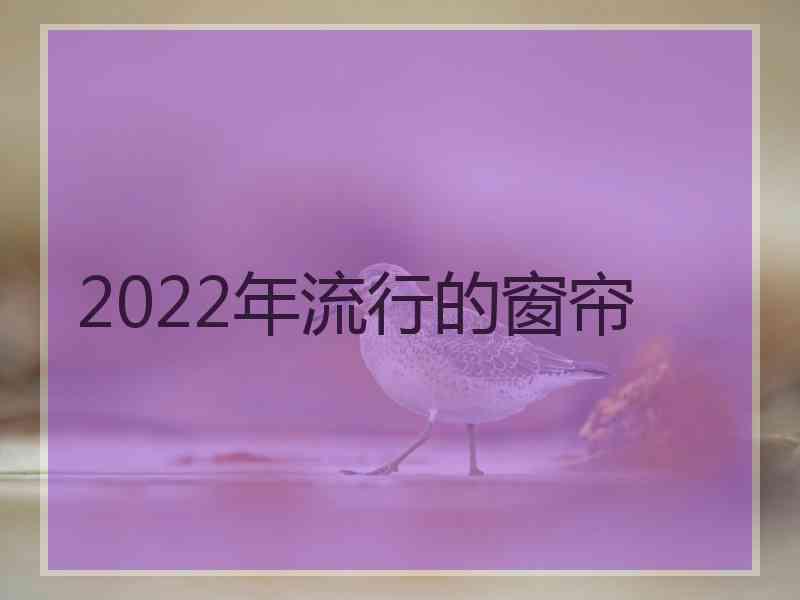 2022年流行的窗帘