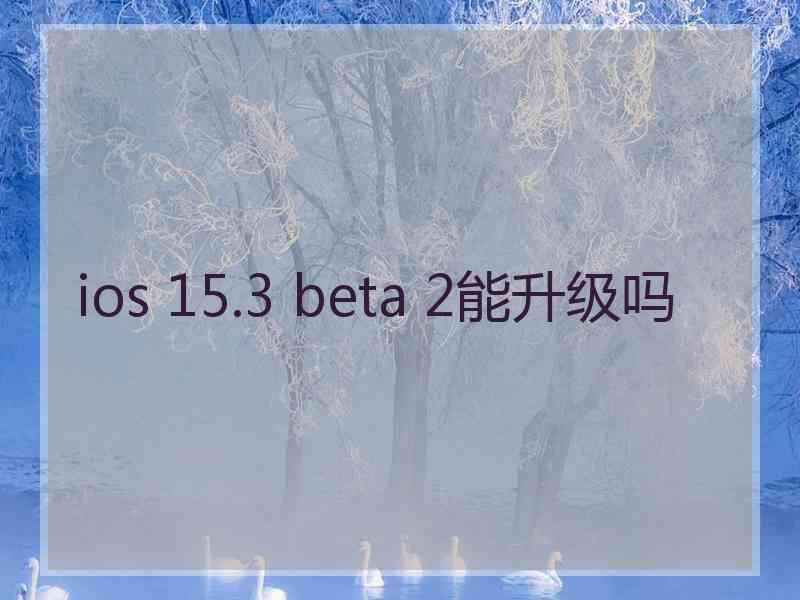 ios 15.3 beta 2能升级吗