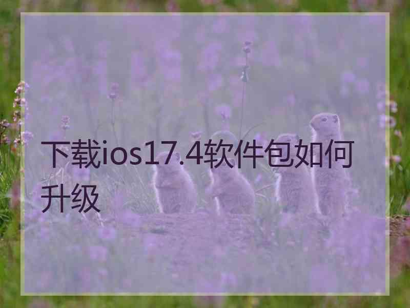 下载ios17.4软件包如何升级