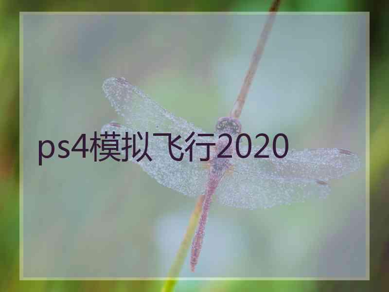 ps4模拟飞行2020