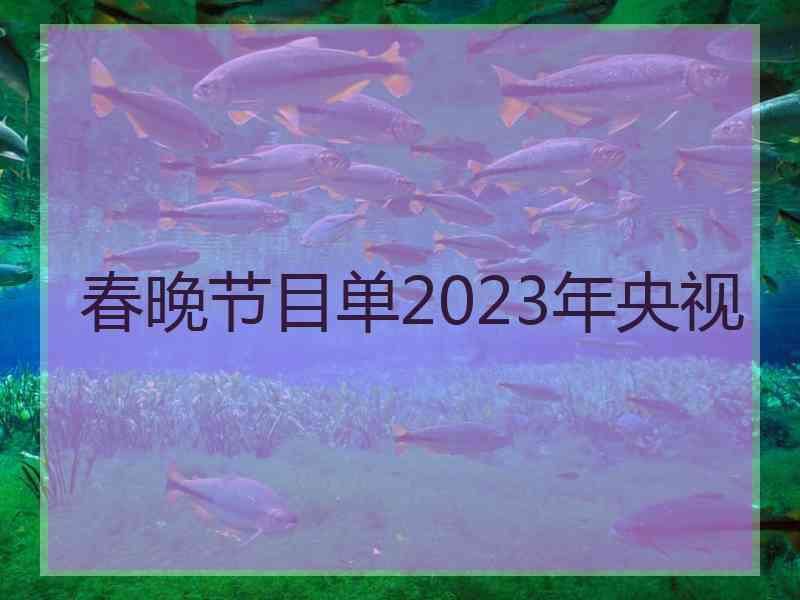 春晚节目单2023年央视