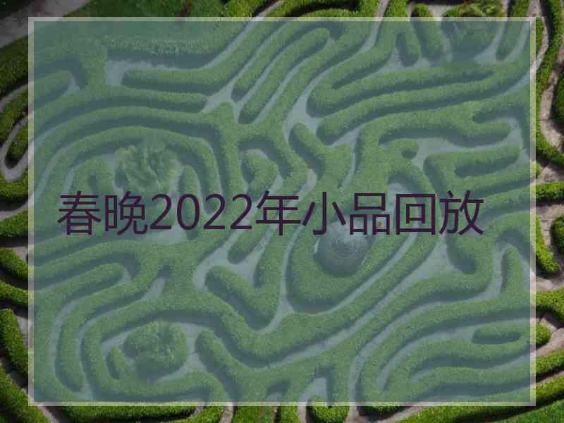 春晚2022年小品回放