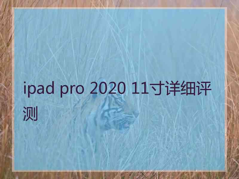 ipad pro 2020 11寸详细评测