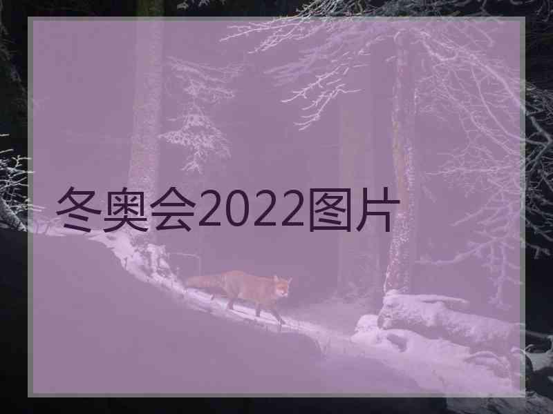 冬奥会2022图片