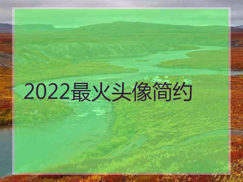 2022最火头像简约