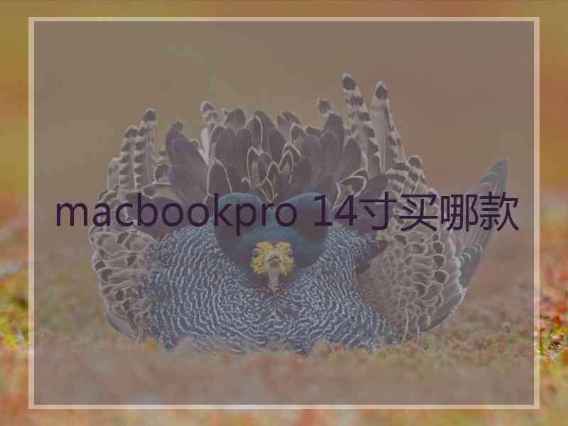 macbookpro 14寸买哪款