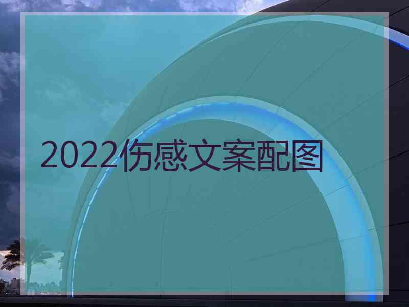 2022伤感文案配图