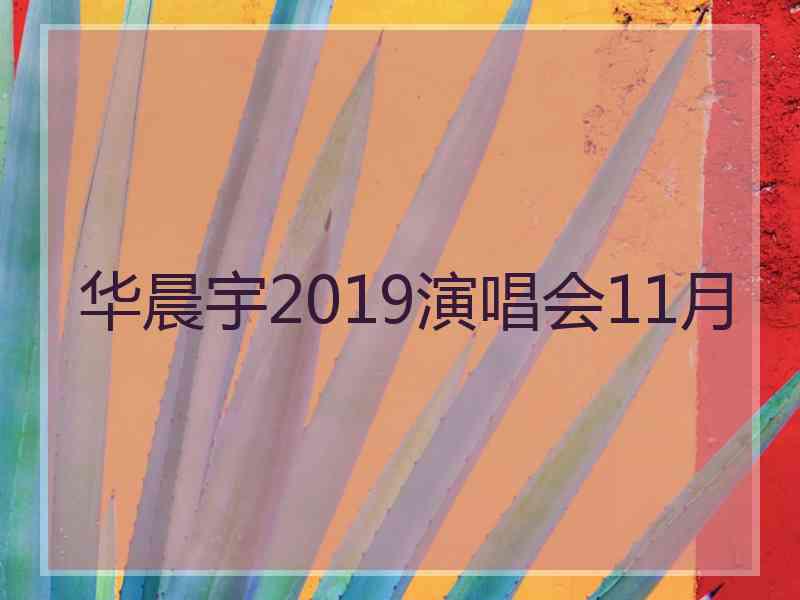 华晨宇2019演唱会11月