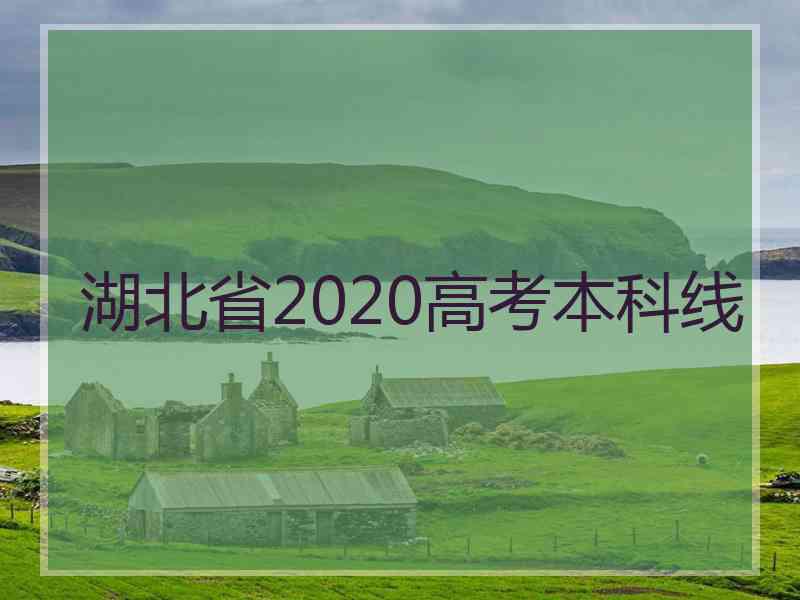 湖北省2020高考本科线