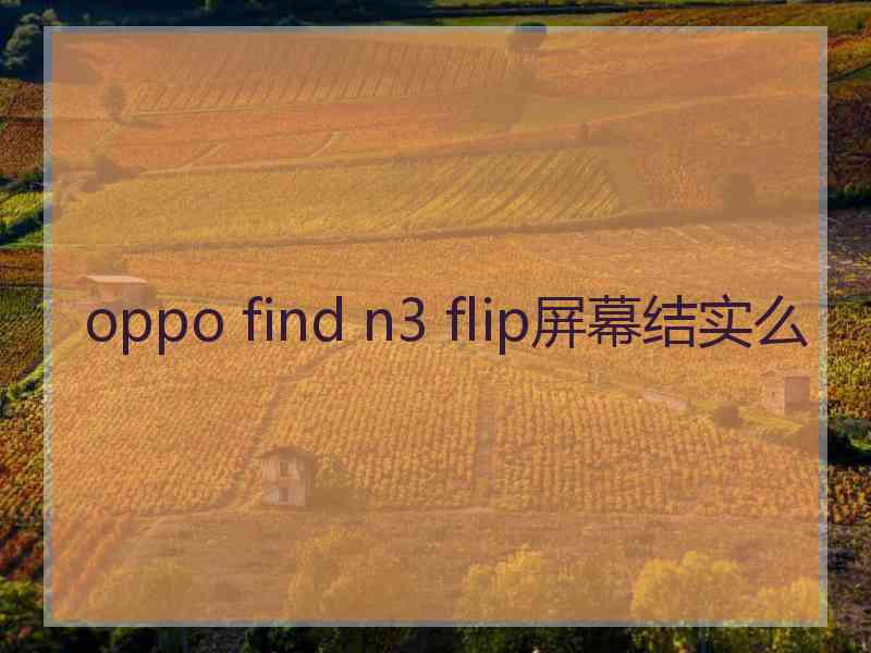 oppo find n3 flip屏幕结实么