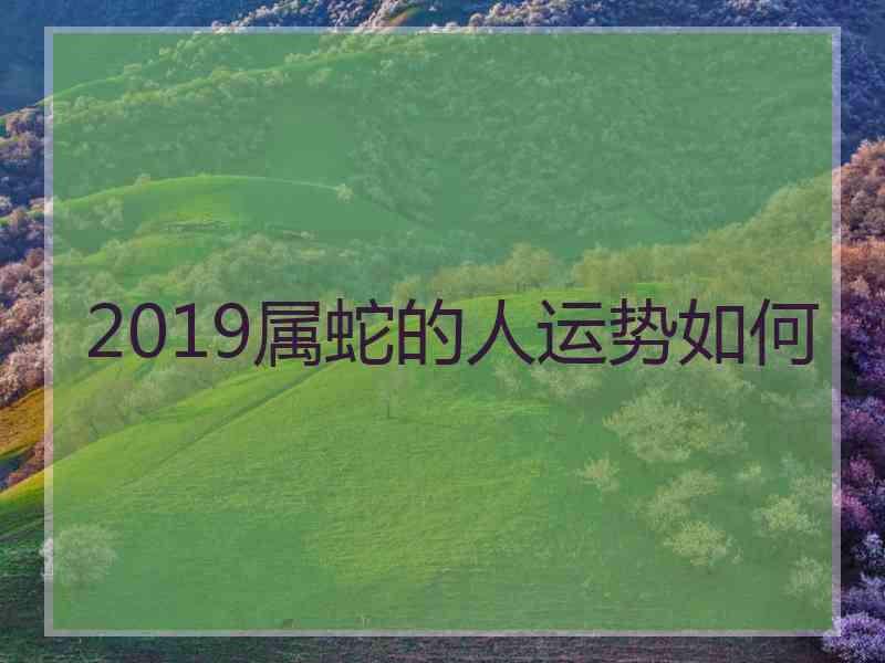 2019属蛇的人运势如何