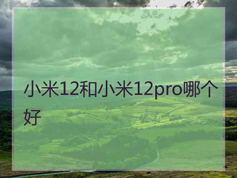 小米12和小米12pro哪个好