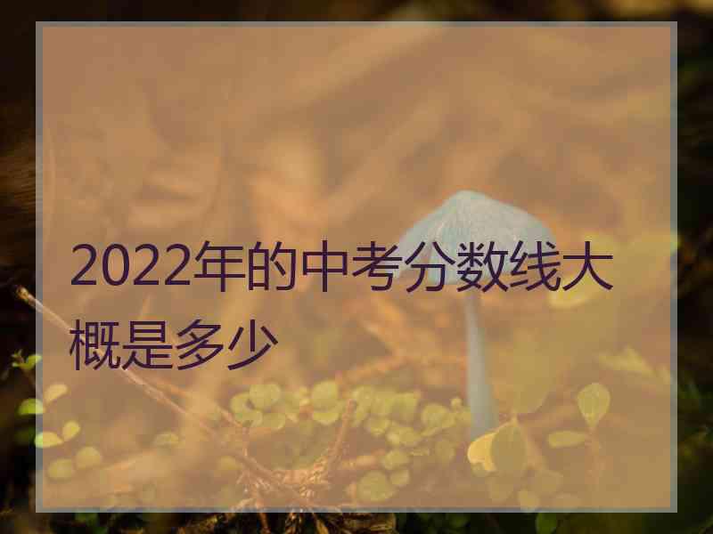 2022年的中考分数线大概是多少