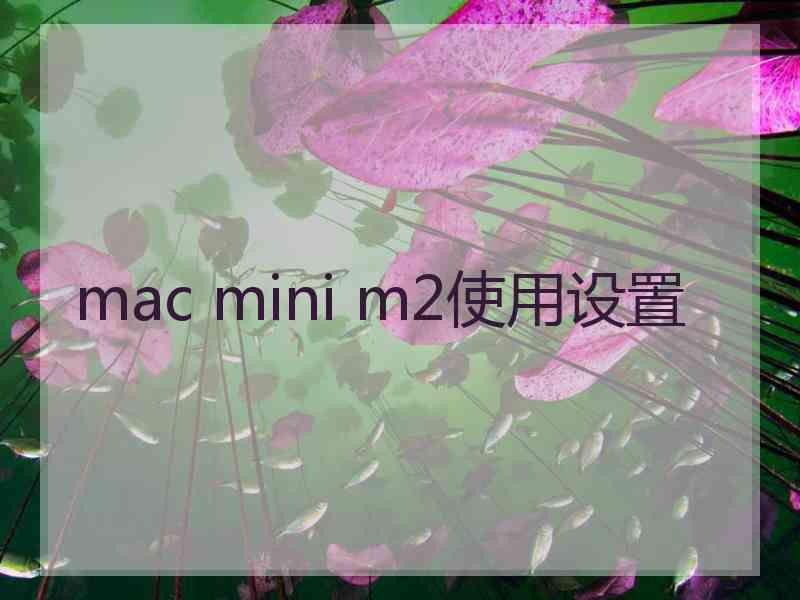 mac mini m2使用设置