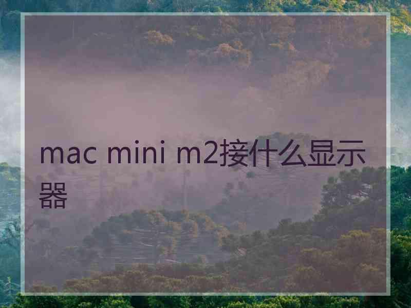 mac mini m2接什么显示器