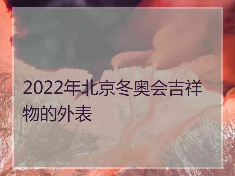 2022年北京冬奥会吉祥物的外表