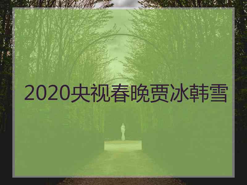 2020央视春晚贾冰韩雪