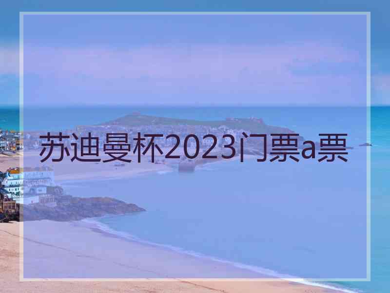 苏迪曼杯2023门票a票