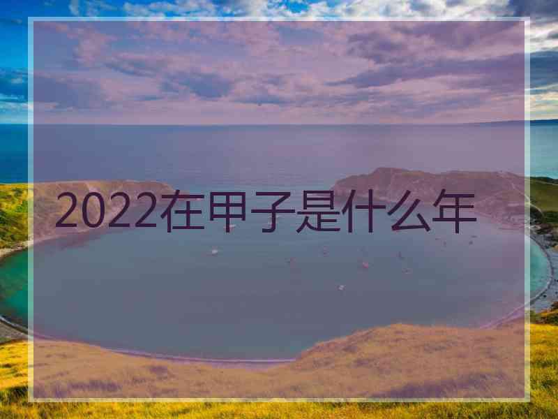 2022在甲子是什么年