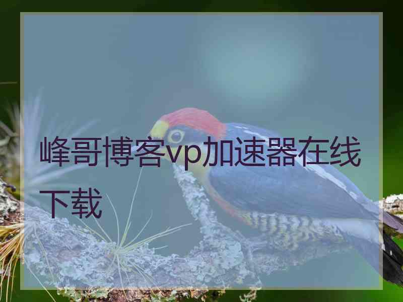 峰哥博客vp加速器在线下载