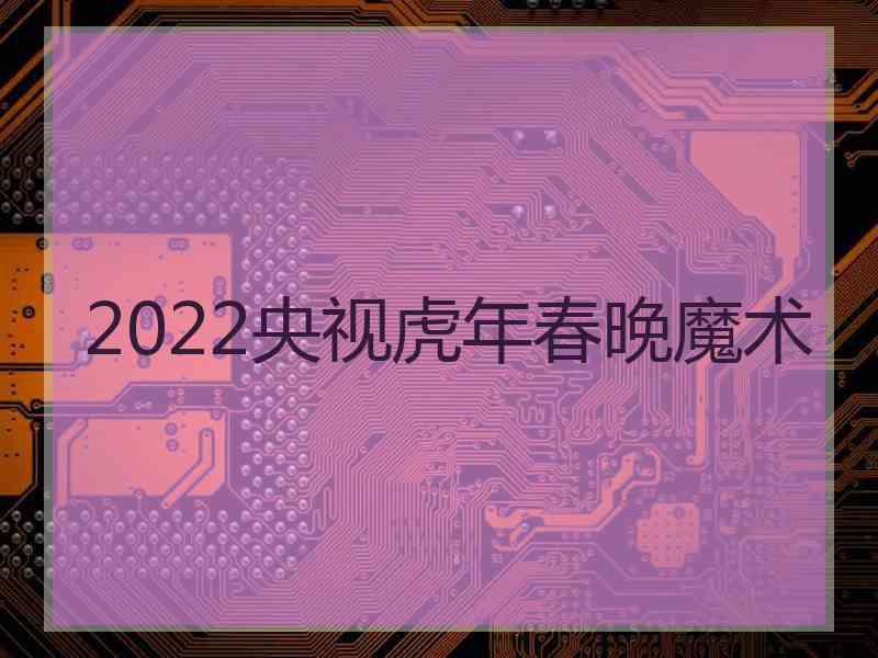 2022央视虎年春晚魔术