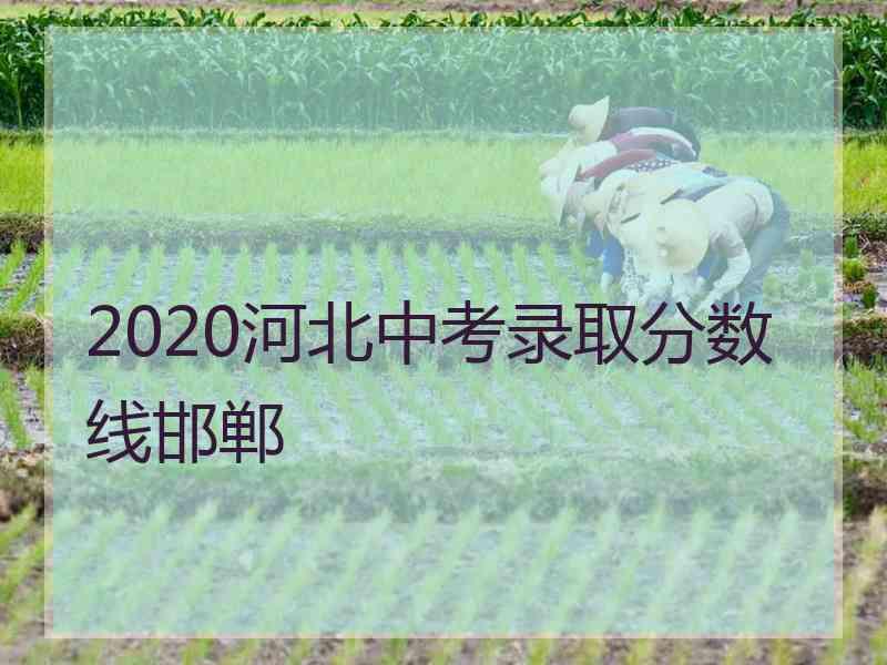 2020河北中考录取分数线邯郸