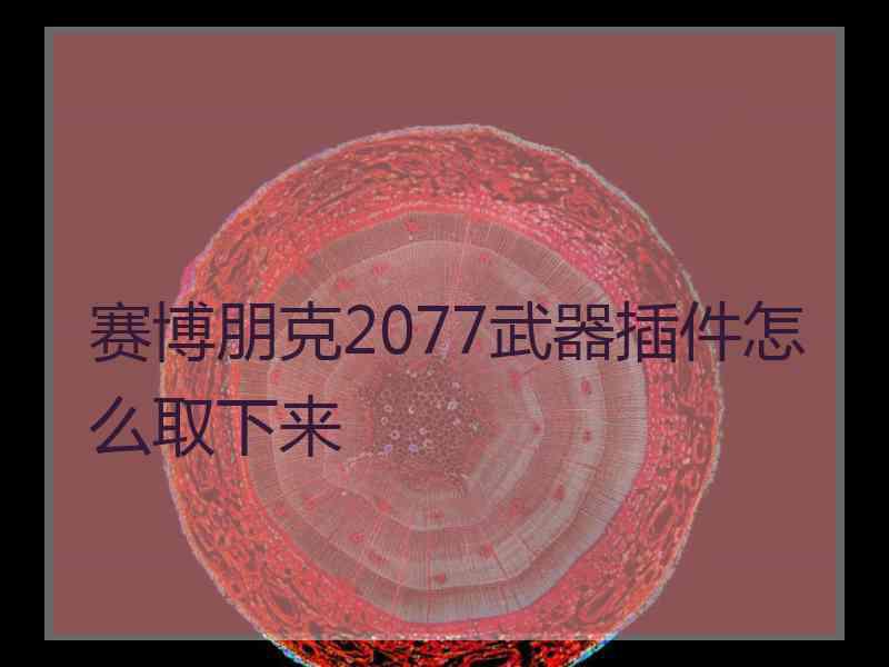 赛博朋克2077武器插件怎么取下来