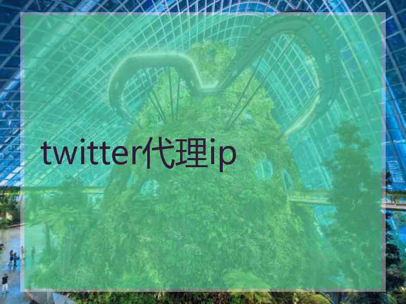 twitter代理ip