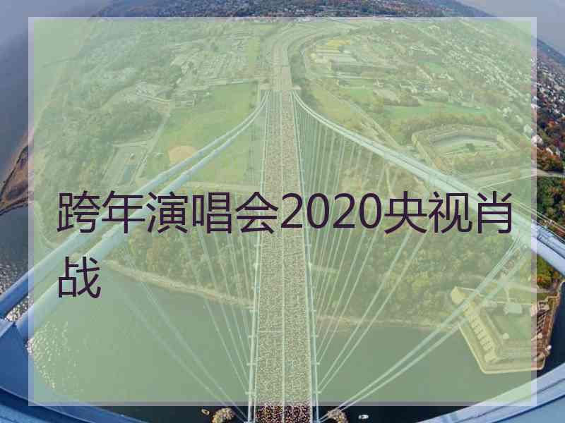 跨年演唱会2020央视肖战