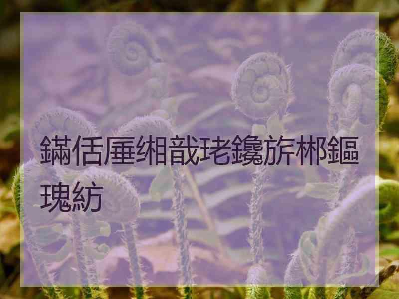 鏋佸厜缃戠珯鑱旂郴鏂瑰紡