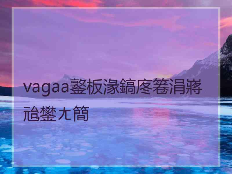 vagaa鐜板湪鎬庝箞涓嶈兘鐢ㄤ簡