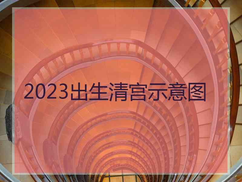 2023出生清宫示意图