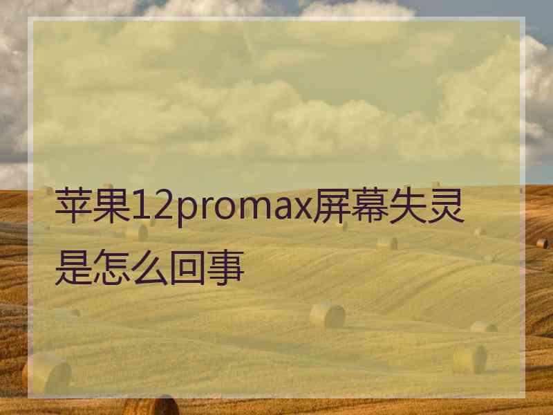 苹果12promax屏幕失灵是怎么回事