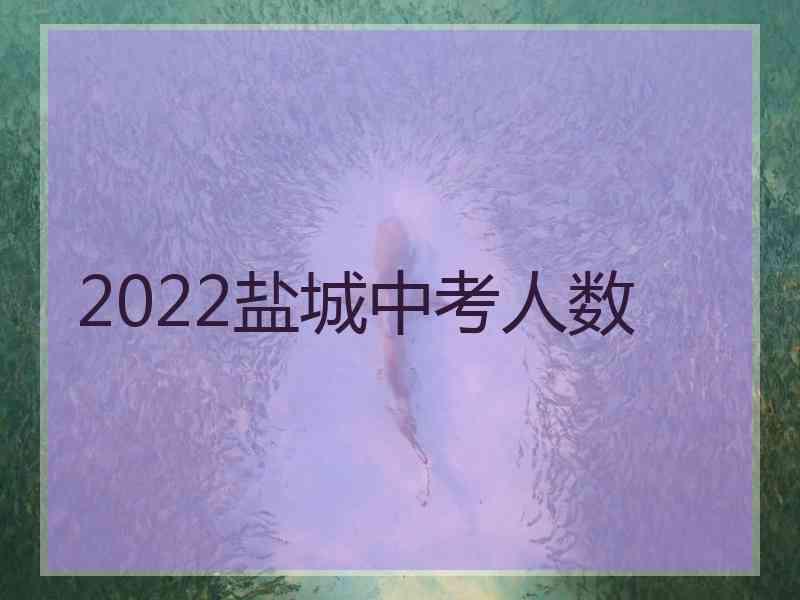 2022盐城中考人数