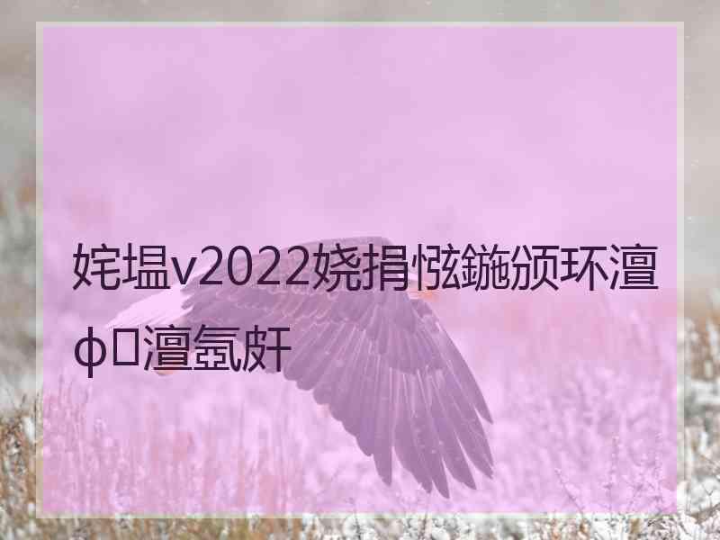 姹塭v2022娆捐惤鍦颁环澶ф澶氬皯