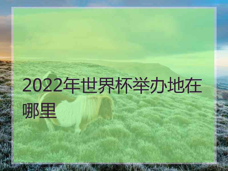 2022年世界杯举办地在哪里