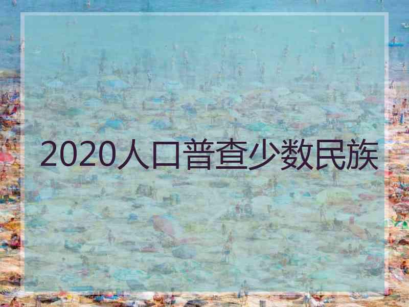 2020人口普查少数民族