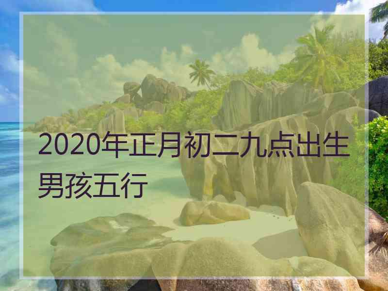 2020年正月初二九点出生男孩五行