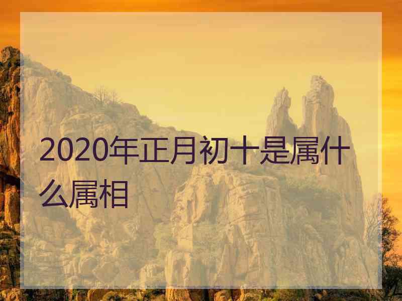 2020年正月初十是属什么属相