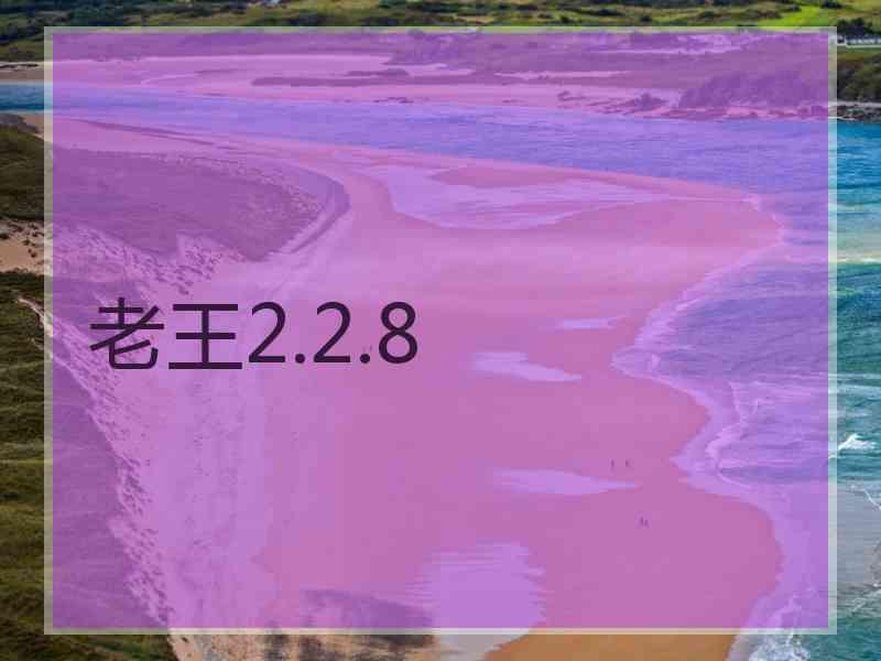 老王2.2.8