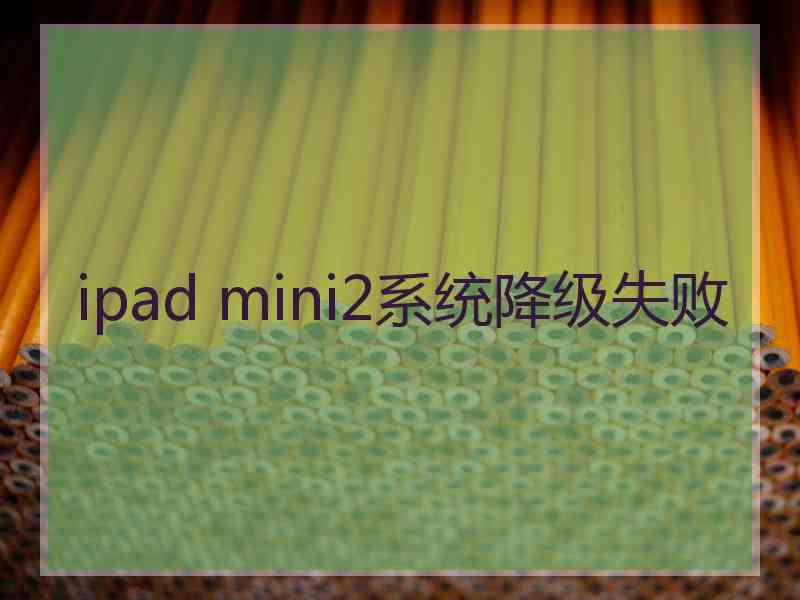 ipad mini2系统降级失败