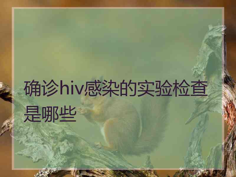 确诊hiv感染的实验检查是哪些