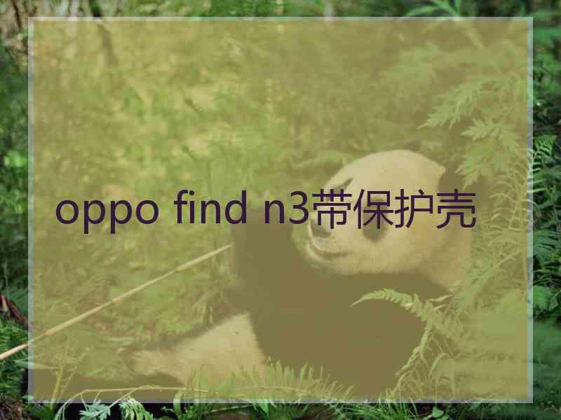 oppo find n3带保护壳