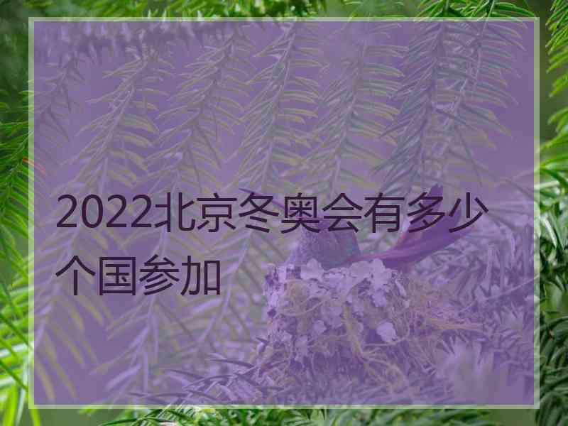 2022北京冬奥会有多少个国参加