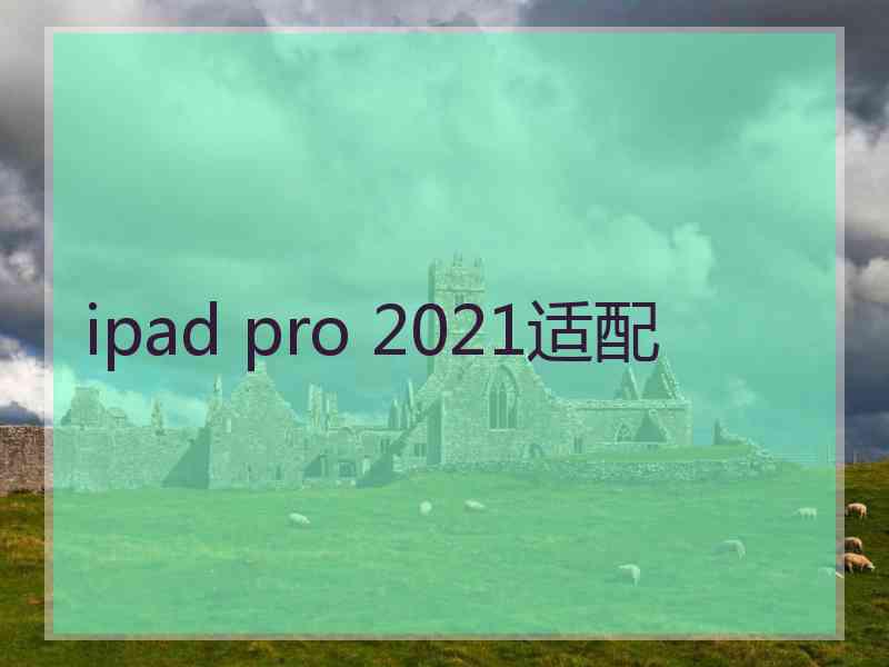 ipad pro 2021适配