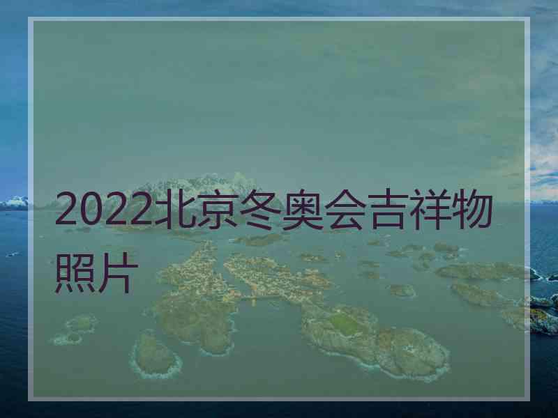 2022北京冬奥会吉祥物照片