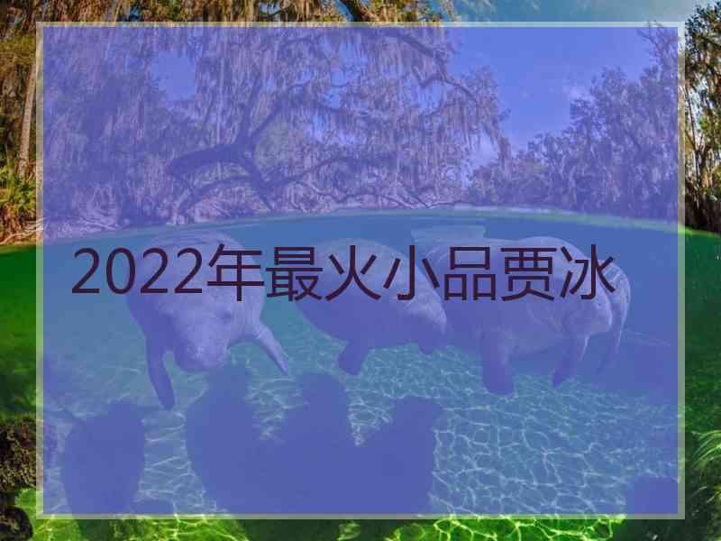 2022年最火小品贾冰